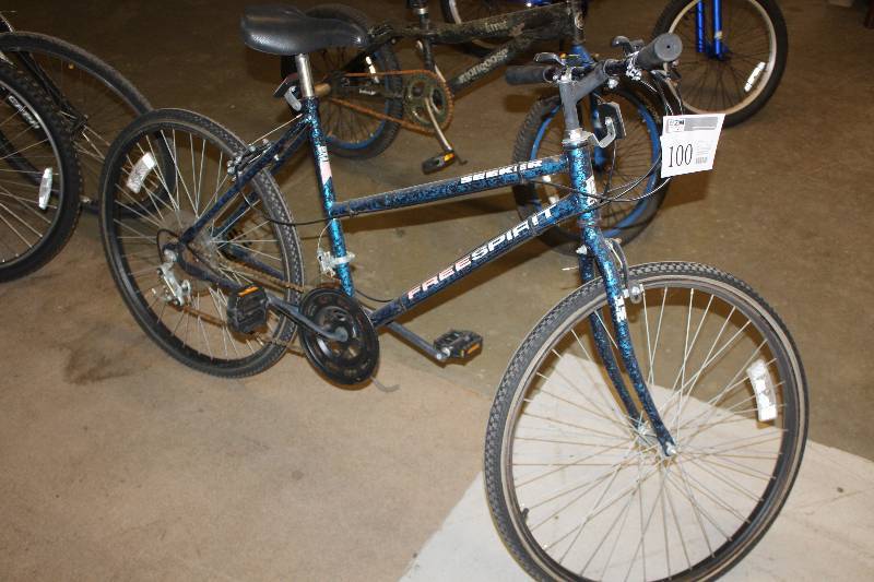 Freespirit 22in. Bike