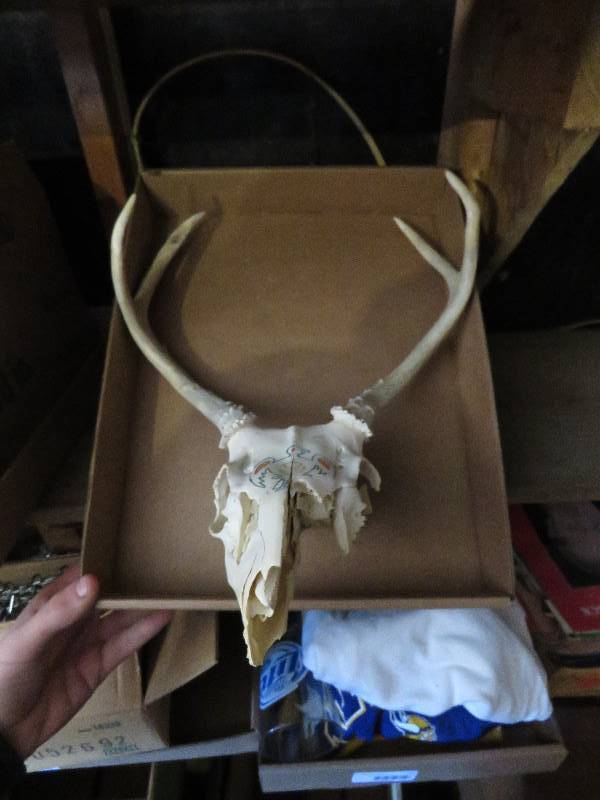 Native American Decor
