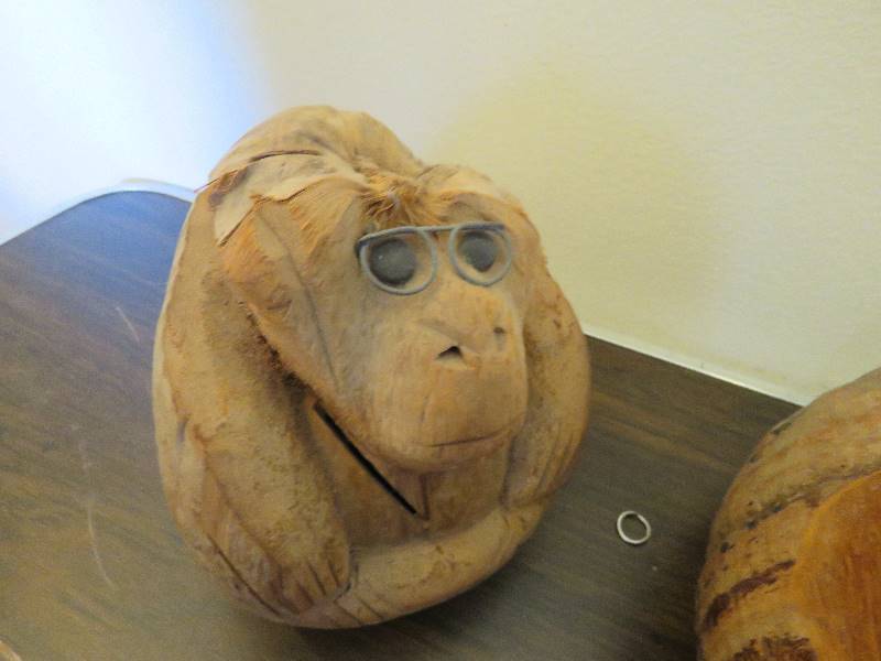 Coconut Monkeys