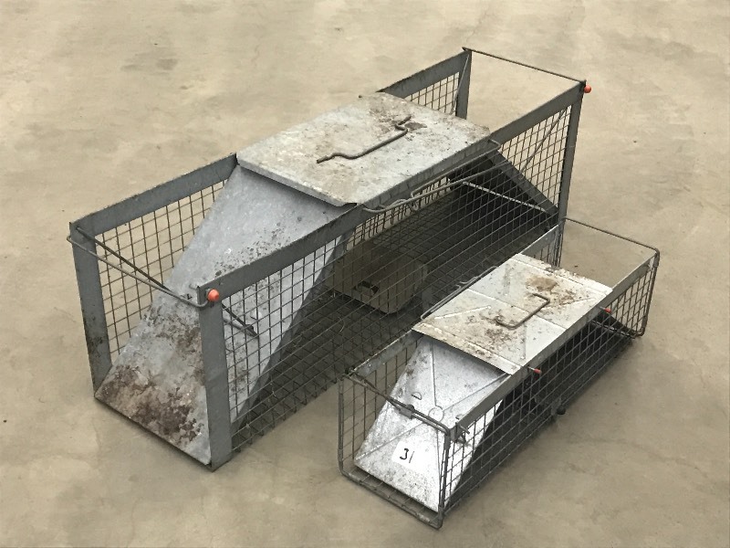 lot 31 image: (2) Animal Live Traps (1) Large & ...