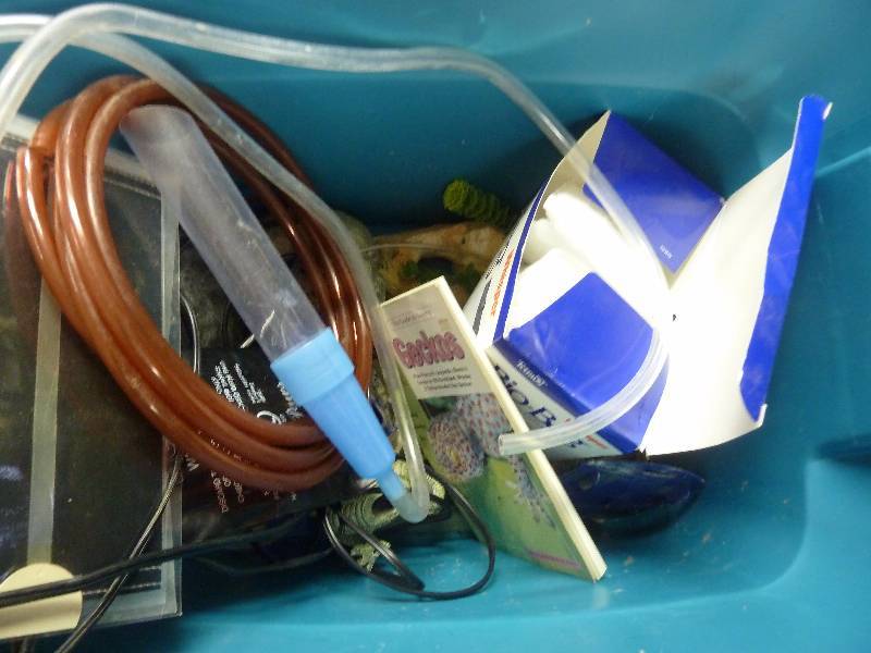 AquariumReptile Accessories