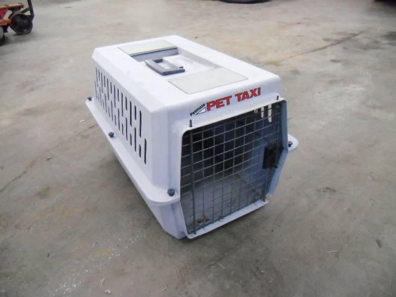 Pet Taxi