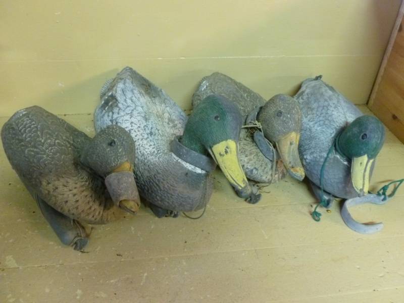 lot 56 image: Duck Decoys