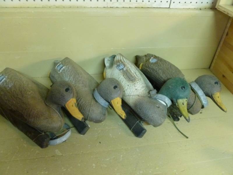 lot 97 image: Duck Decoys