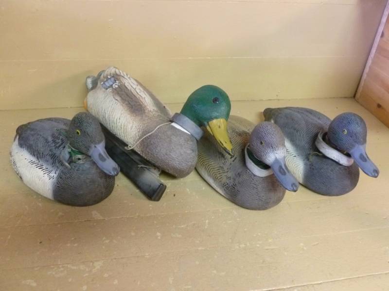 lot 98 image: Duck Decoys
