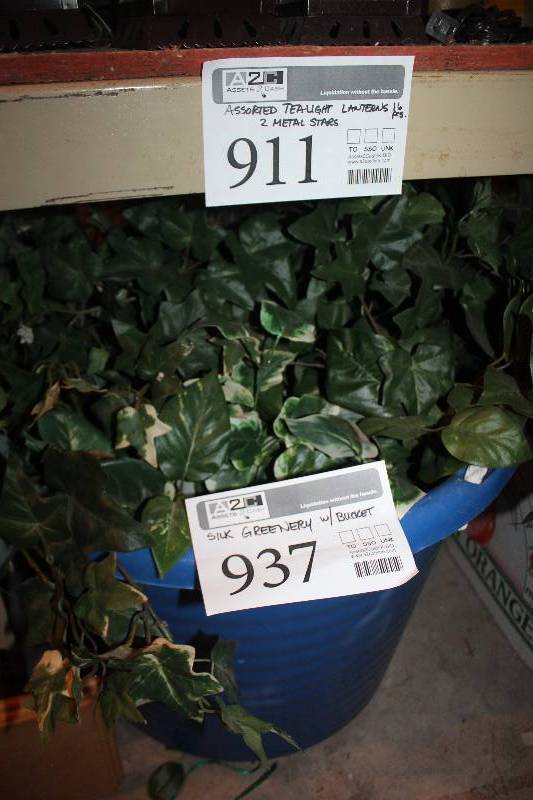 lot 937 image: Sill Greenery w Bucket