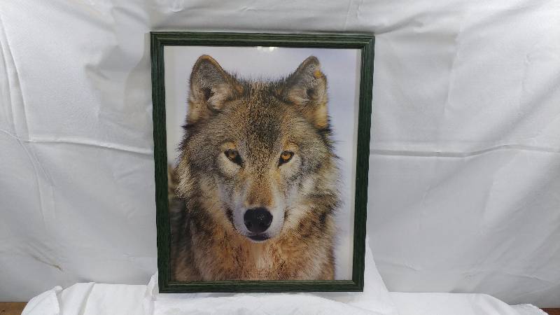 lot 63 image: Print of Wolf