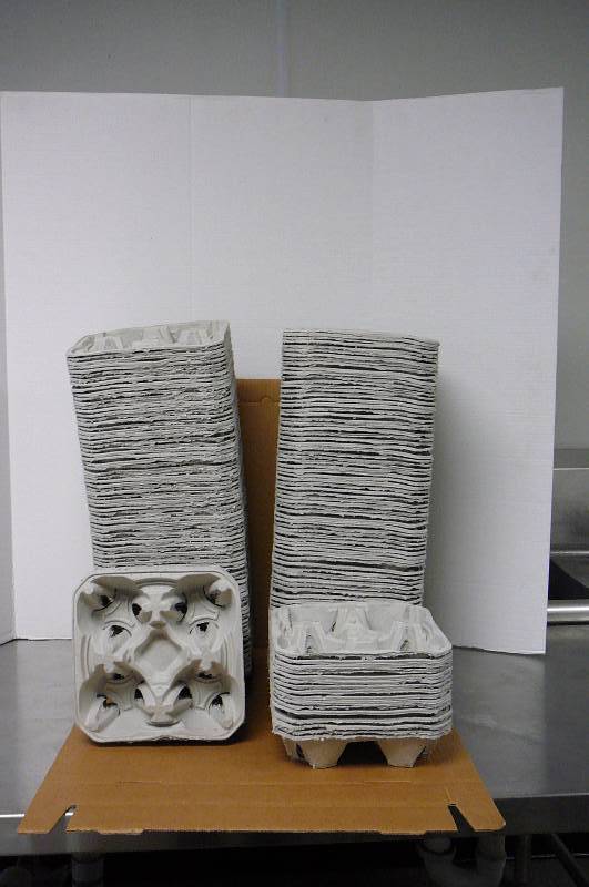 Molded Fiber Beverage Carriers