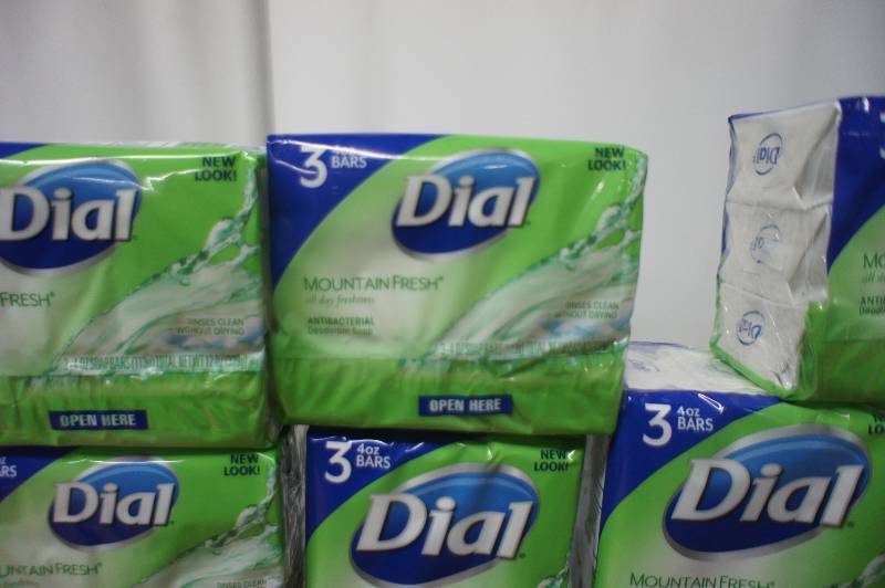 lot 160 image: Lot of 60 Bars of Dial Soap Mountain Fresh