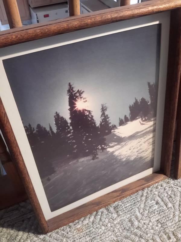 lot 33 image: Nice NATURE art work