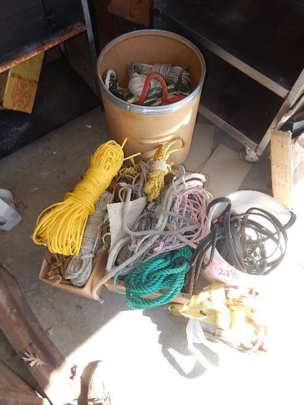lot 218 image: Large lot of Ropes, Straps, Bungees as shown.. Take it all