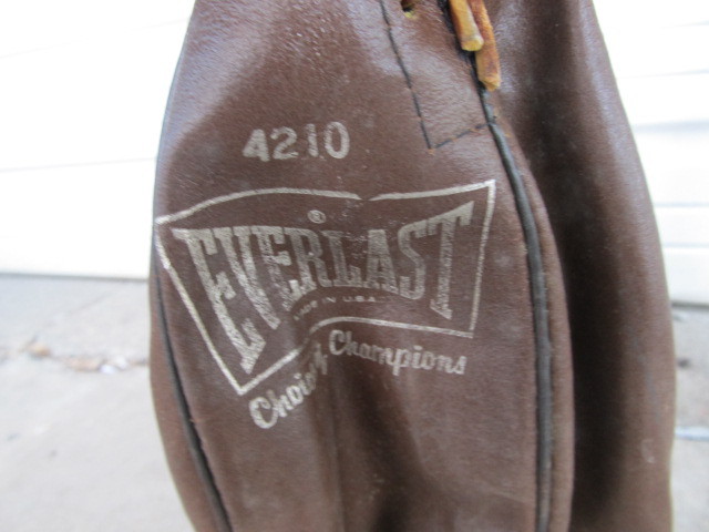 lot 105 image: Wall Mounted Everlast Boxing Speed Bag