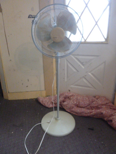 lot 46 image: Lasko Oscillating Fan