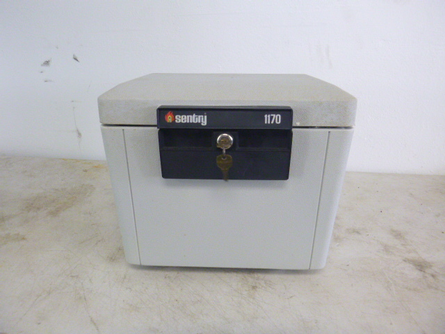 lot 124 image: Sentry Fire Safe