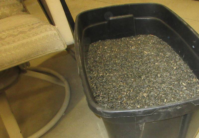 lot 115 image: PATIO CHAIR AND HUGE TOTE OF BLACK SUNFLOWER SEEDS