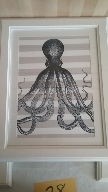 3 Framed Octopus Print