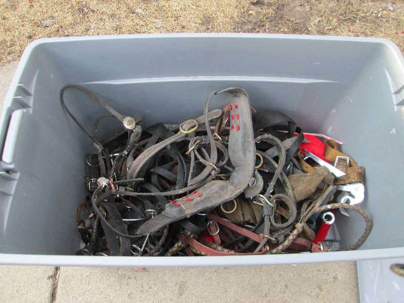lot 67 image: large Assortment Of Horse Bridles