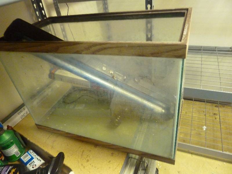 lot 133 image: Glass Aquarium and Lights