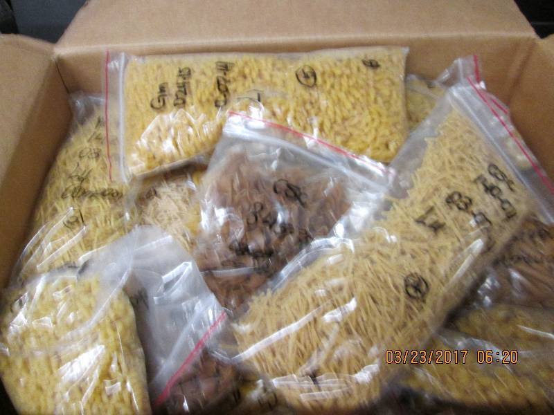 1 case of mixed noodles ...