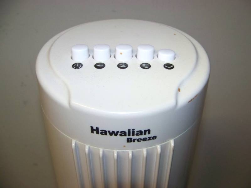 lot 145 image: Hawaiian Breeze, Tower Fan