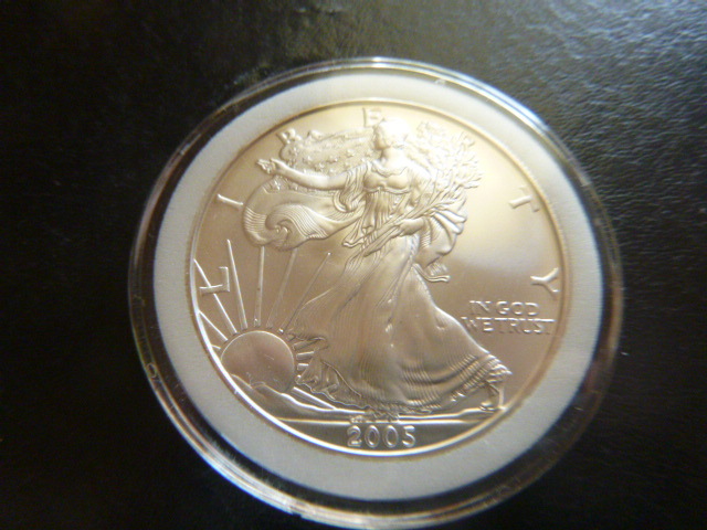 2005 Silver American Eagle Dollar