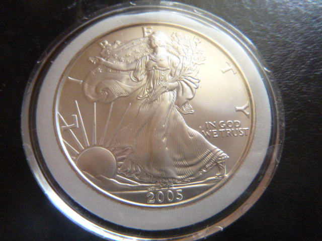 2005 Silver American Eagle Dollar
