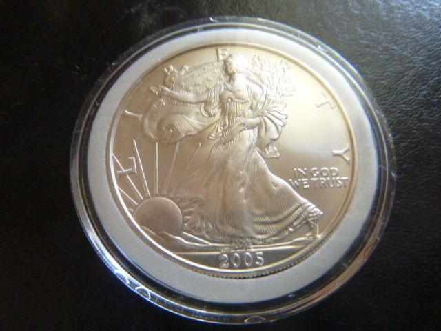 2005 Silver American Eagle Dollar