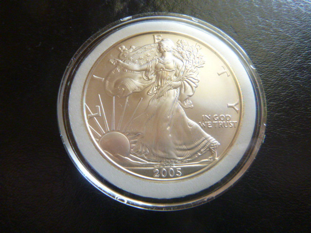 2005 Silver American Eagle Dollar