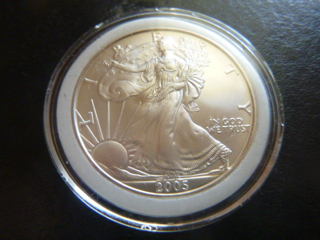 2005 Silver American Eagle Dollar