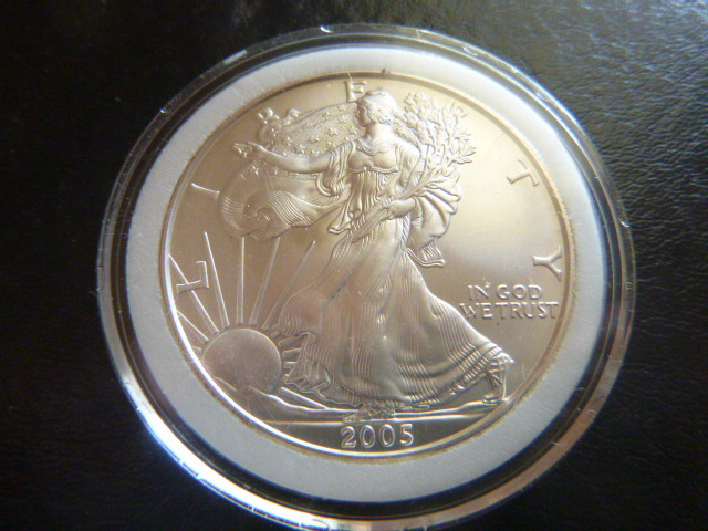 2005 Silver American Eagle Dollar
