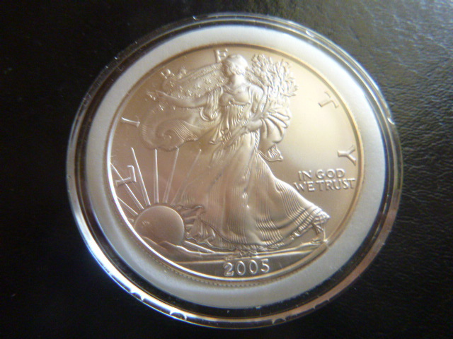 2005 Silver American Eagle Dollar