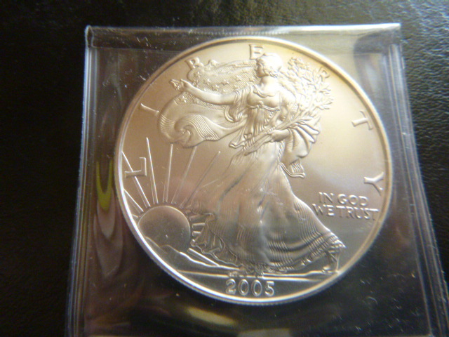 2005 Silver American Eagle Dollar