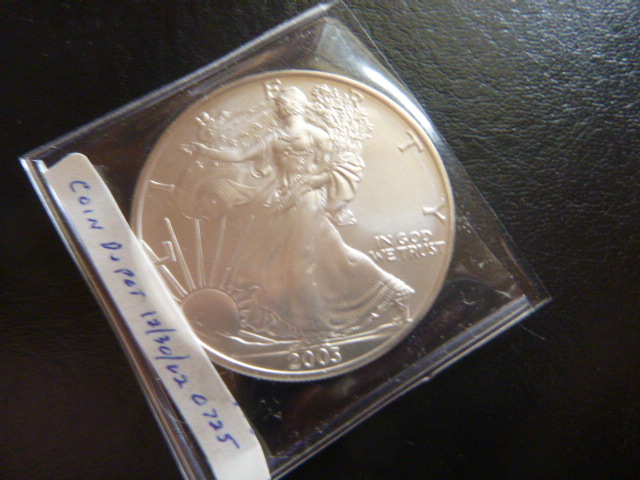 2003 Silver American Eagle Dollar