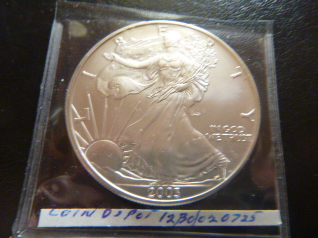 2003 Silver American Eagle Dollar