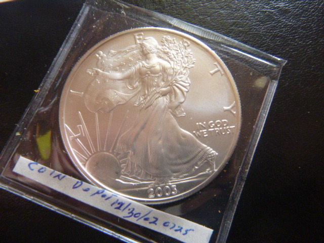 2003 Silver American Eagle Dollar
