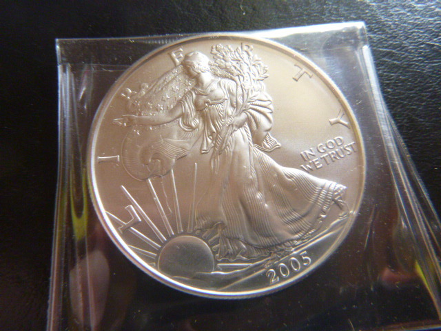 2005 Silver American Eagle Dollar