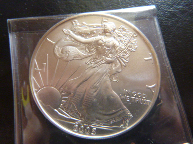 2005 Silver American Eagle Dollar