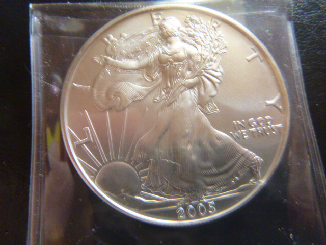 2005 Silver American Eagle Dollar