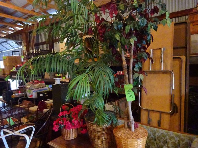 lot 485 image: Fake Plants