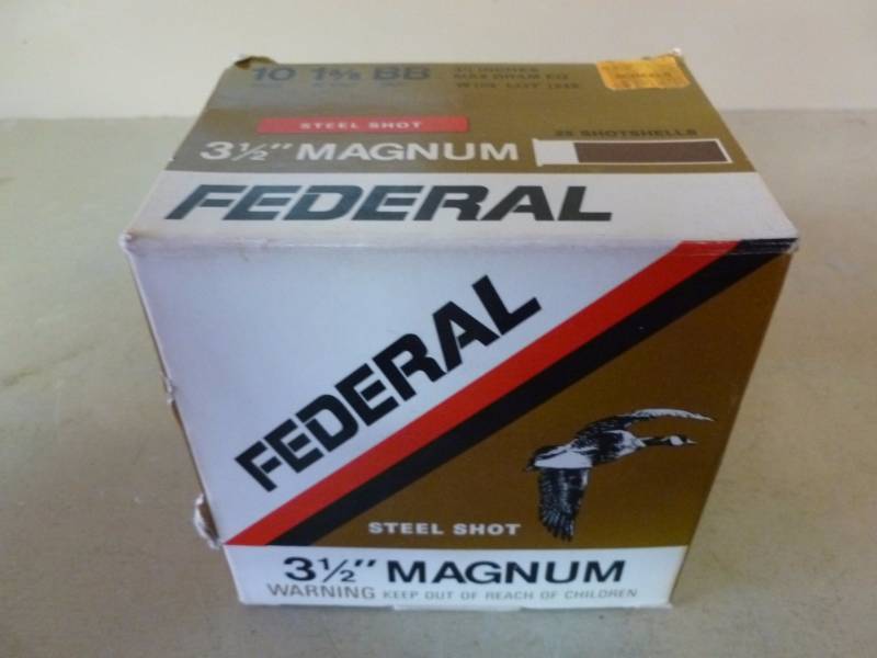 Shotgun Shells