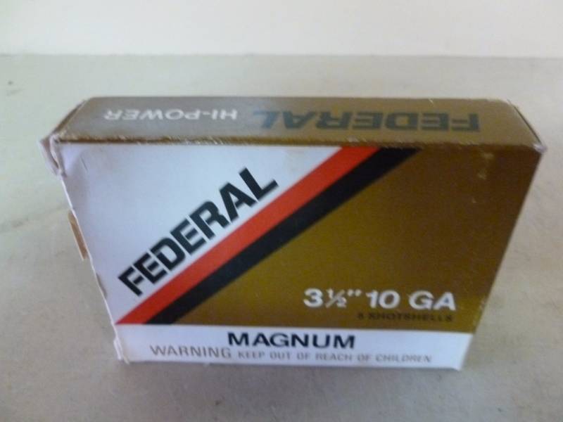 Shotgun Shells