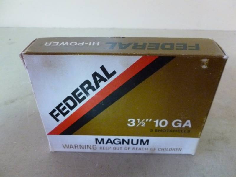 Shotgun Shells