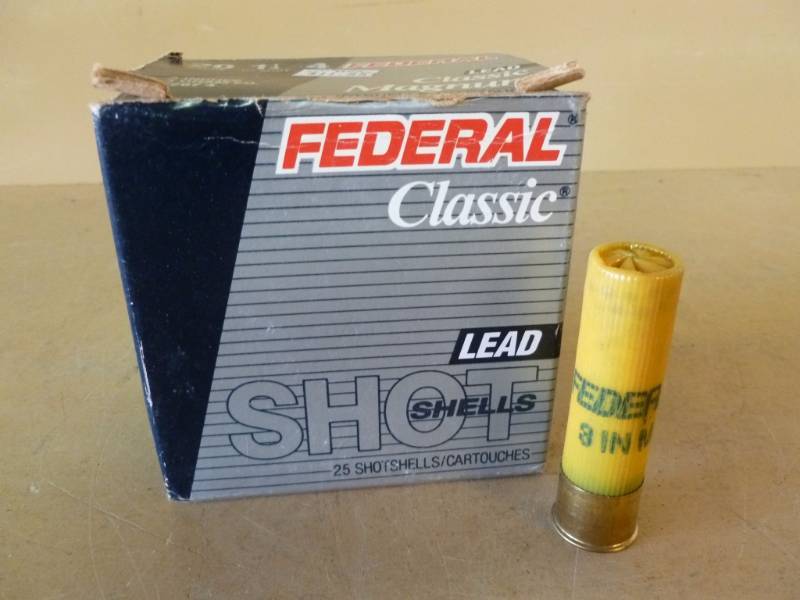 Shotgun Shells