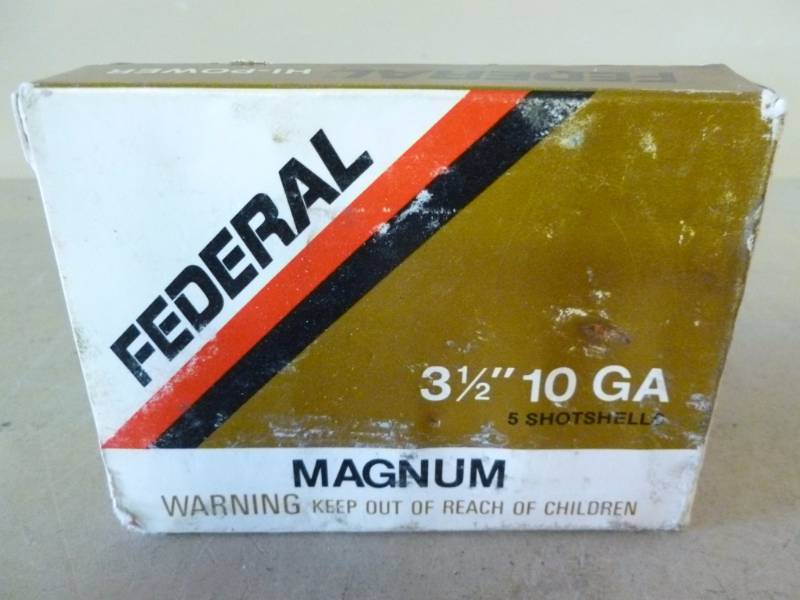 Shotgun Shells
