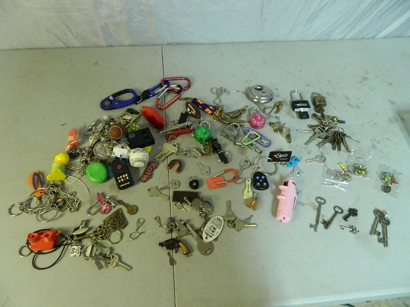lot 15 image: Keys, Keychains, and More