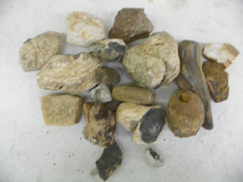Decorative Rocks