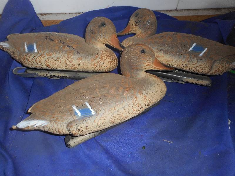 DUCK DECOYS