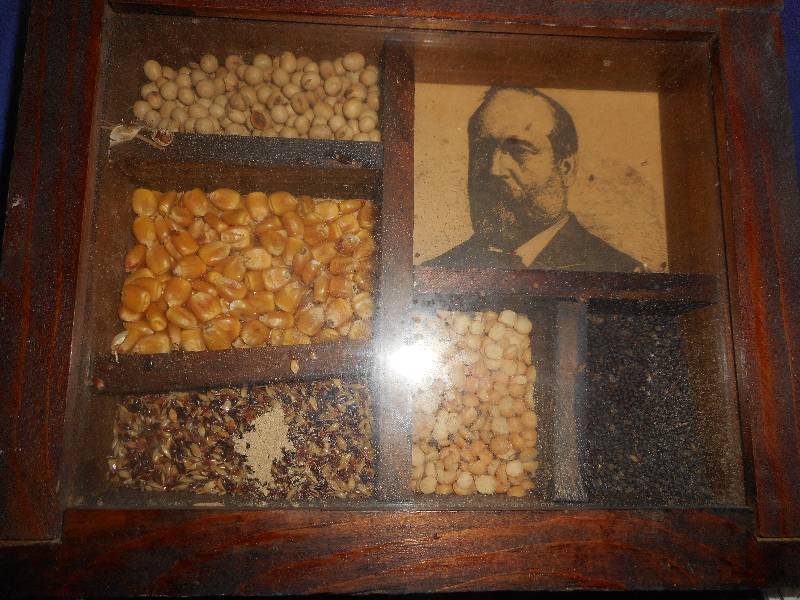ANTIQUE PHOTO BOX