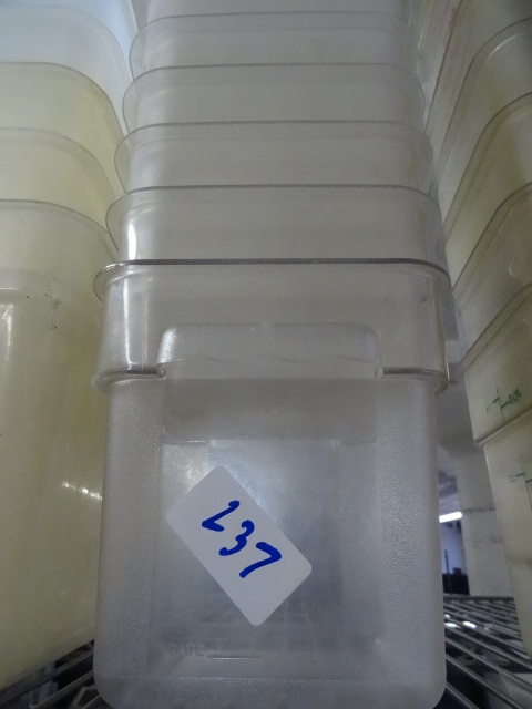 lot 237 image: 4 qt prep containers...