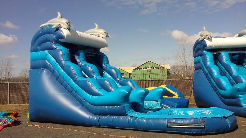 lot 4 image: Dolphin Water Slide with Pool